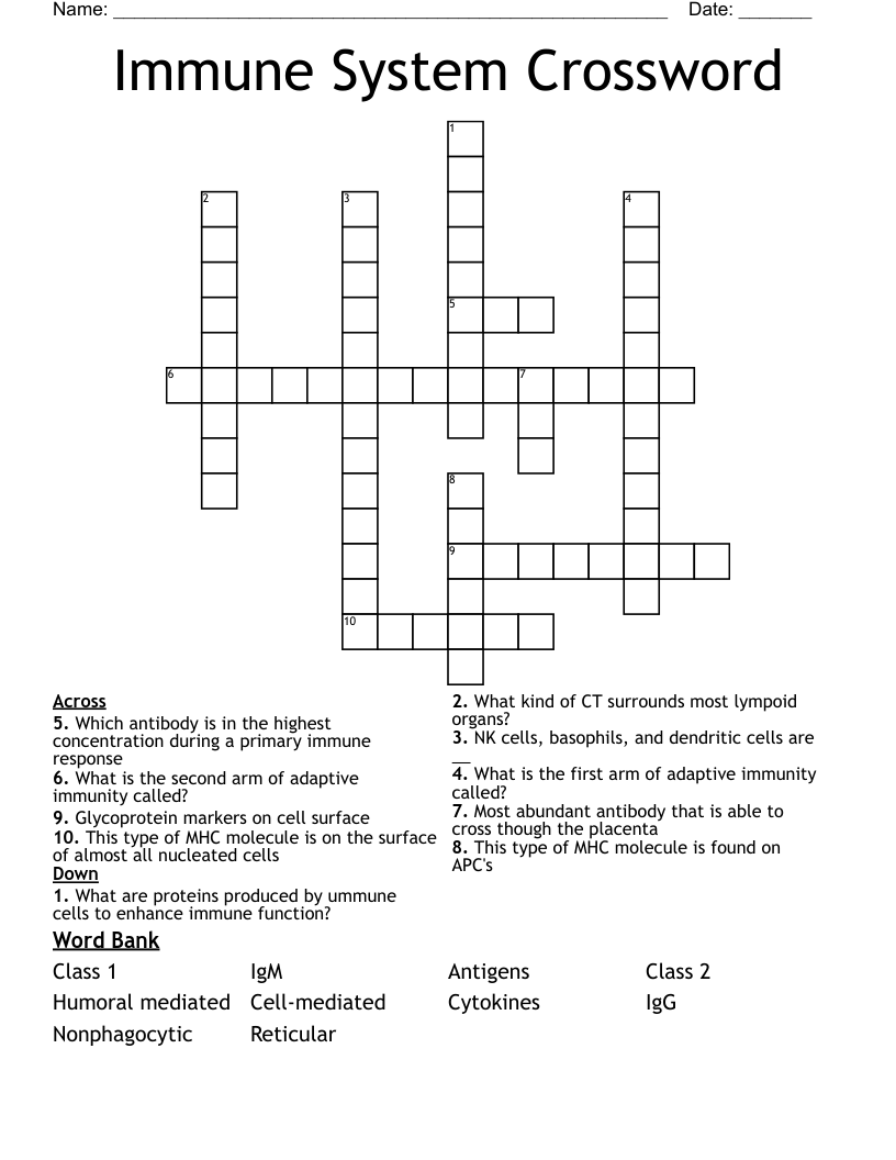Immune System Crossword