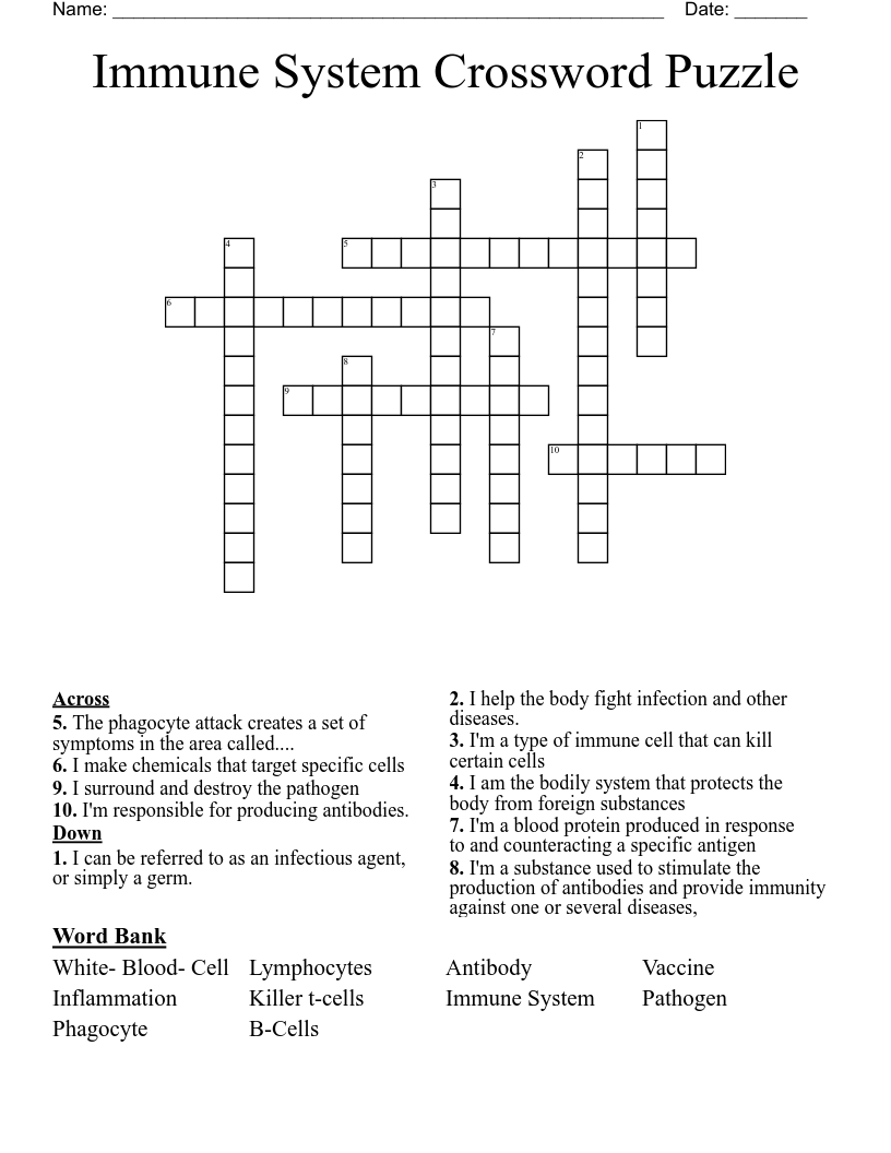 Immune System Crossword Puzzle