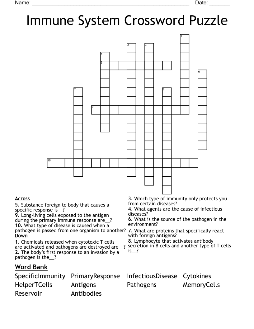 Immune System Crossword Puzzle