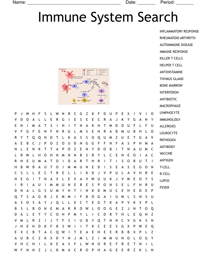 Immune System Search Word Search