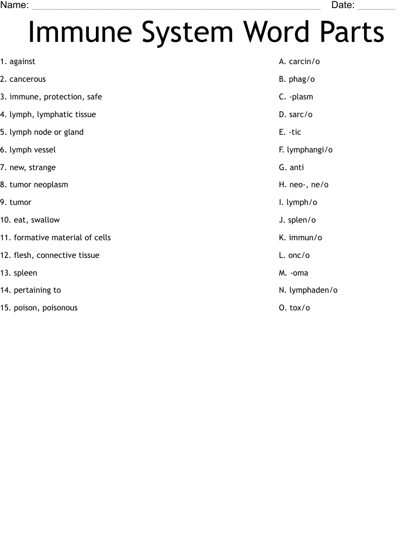 Immune System Word Parts Worksheet