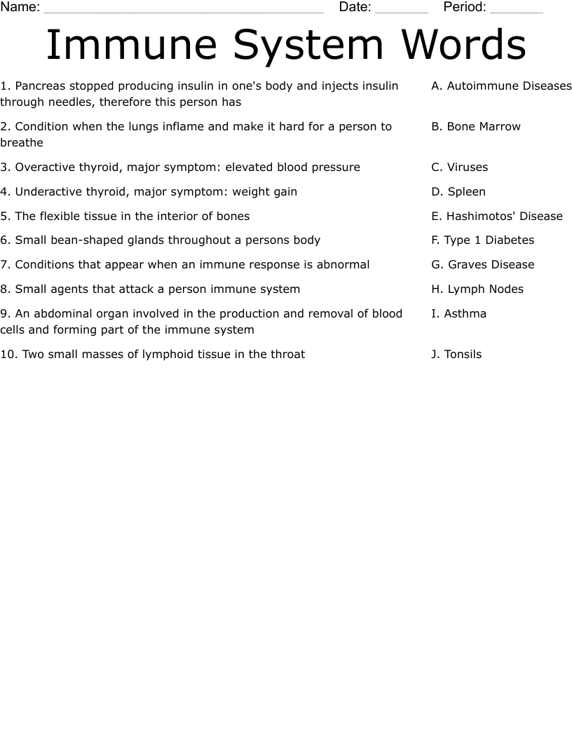 Immune System Words Worksheet