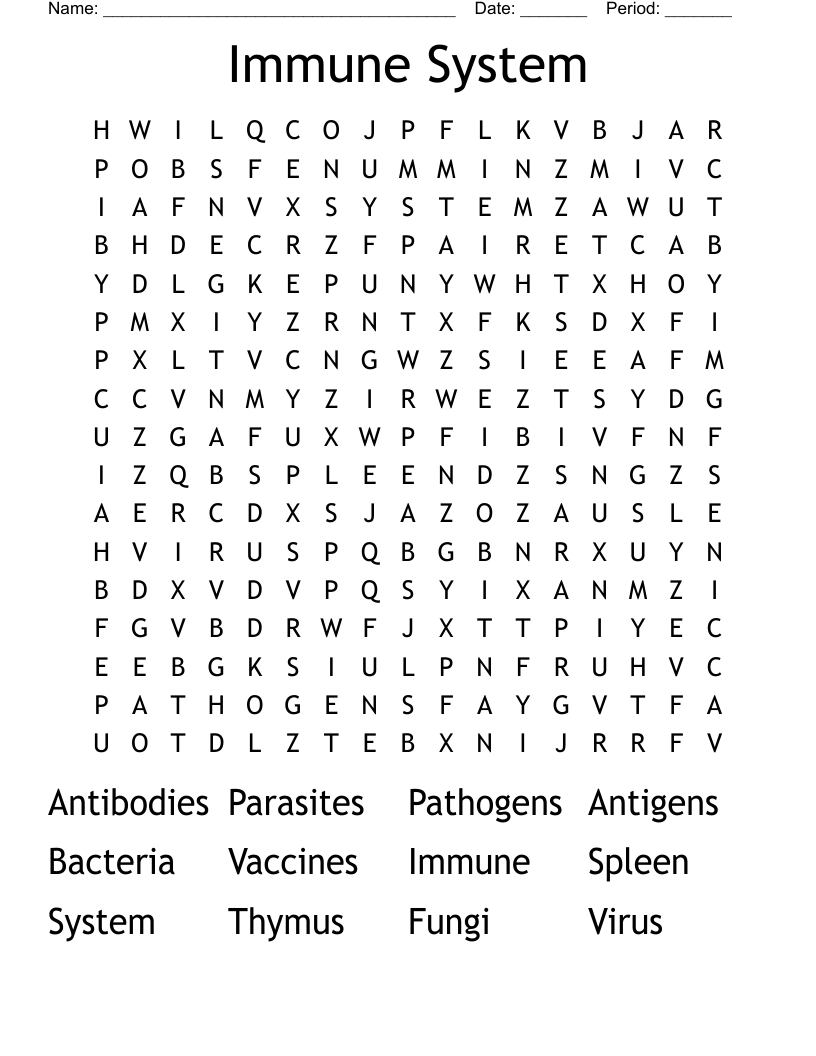 Immune System  Word Search