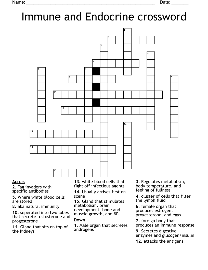 Immune and Endocrine crossword