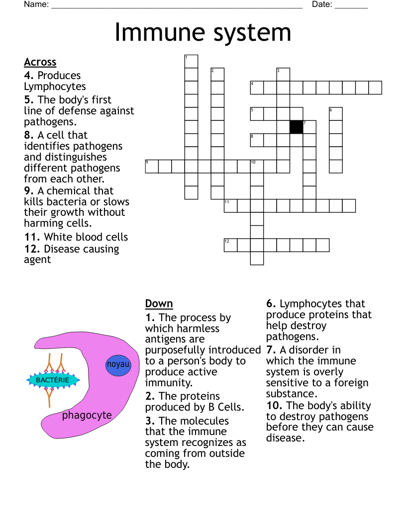 Immune system Crossword