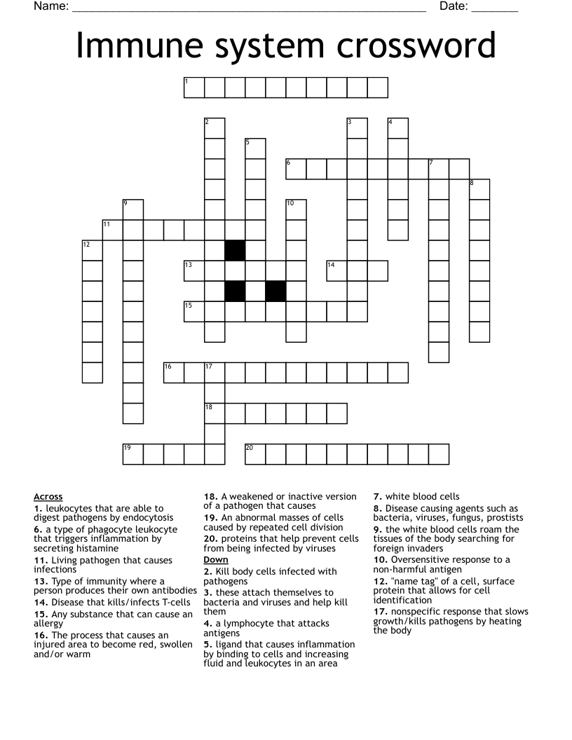 Immune system crossword