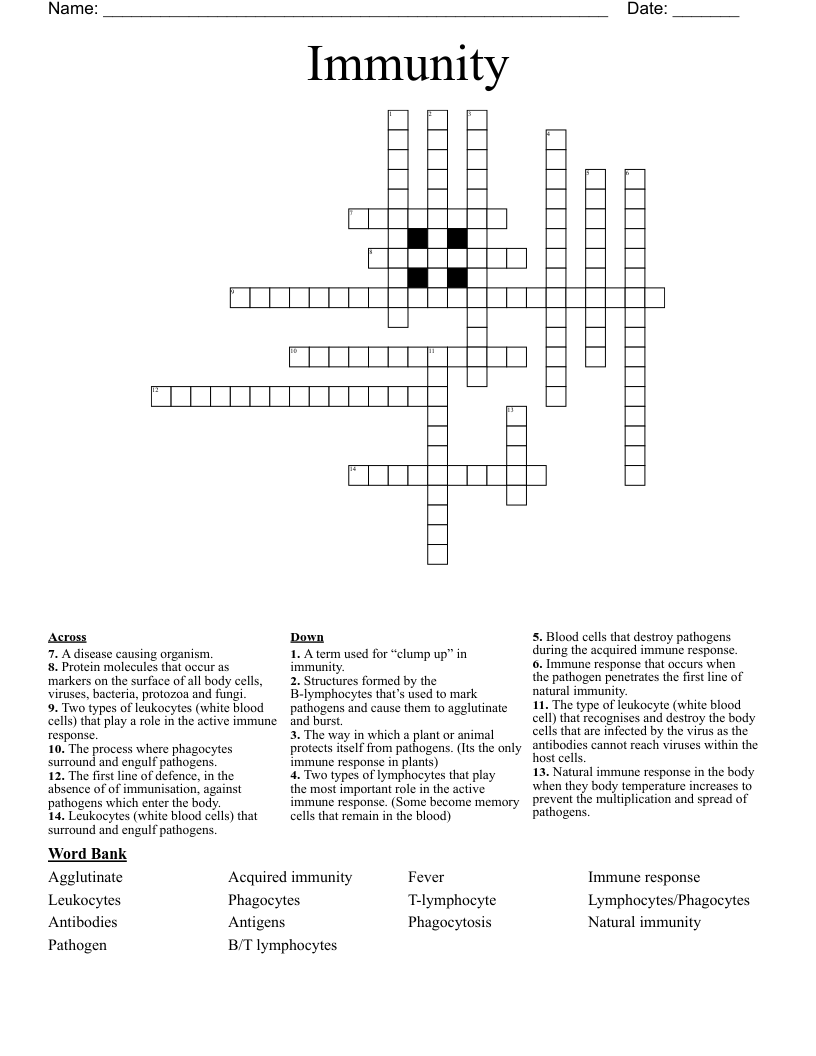 Immunity  Crossword