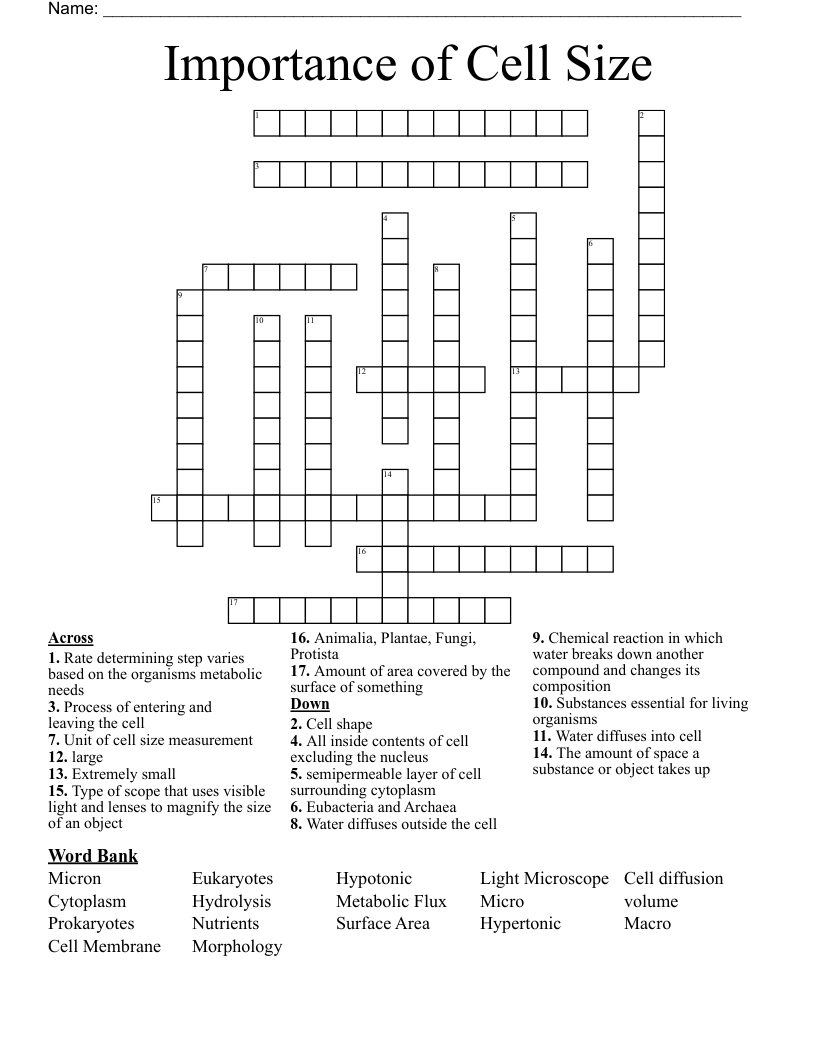 Importance of Cell Size Crossword
