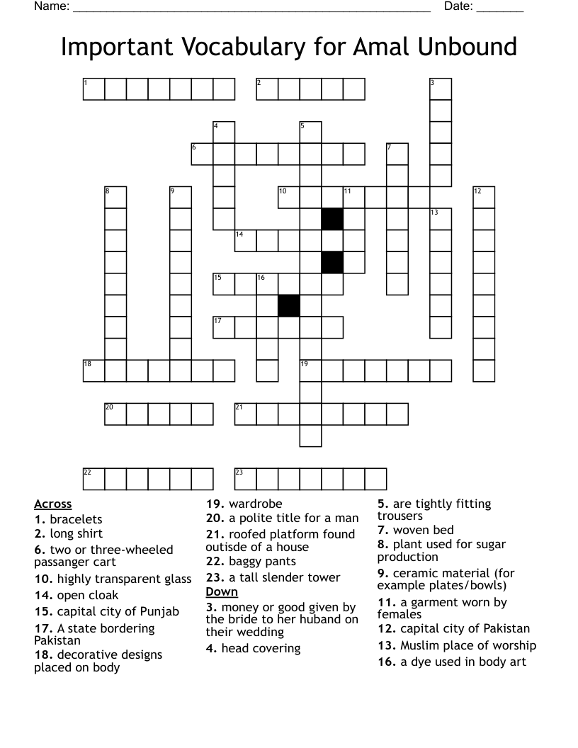 Important Vocabulary for Amal Unbound Crossword