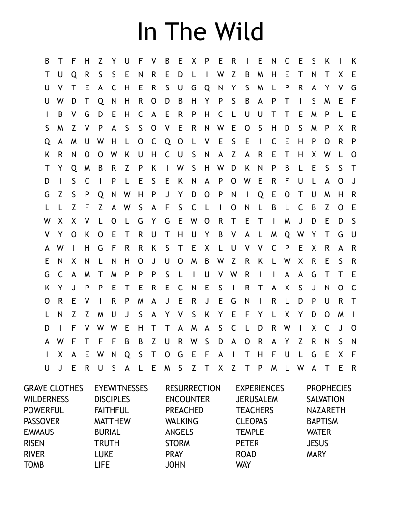 In The Wild Word Search