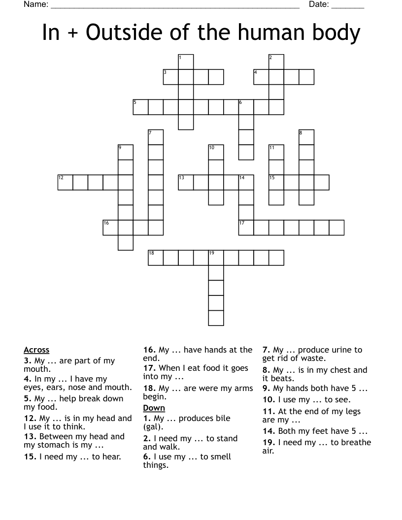 In + Outside of the human body Crossword