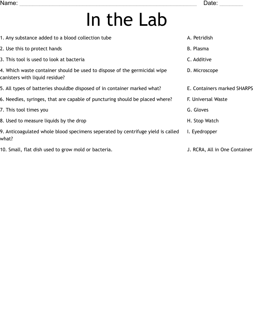 In the Lab Worksheet