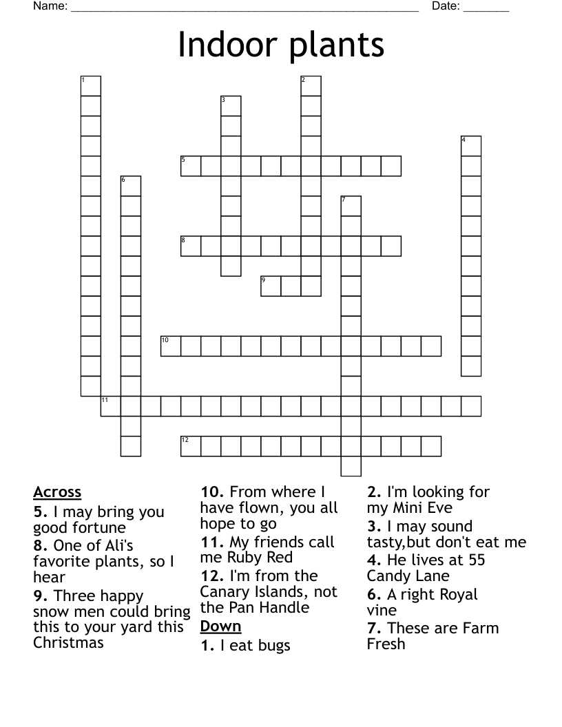 Indoor plants Crossword