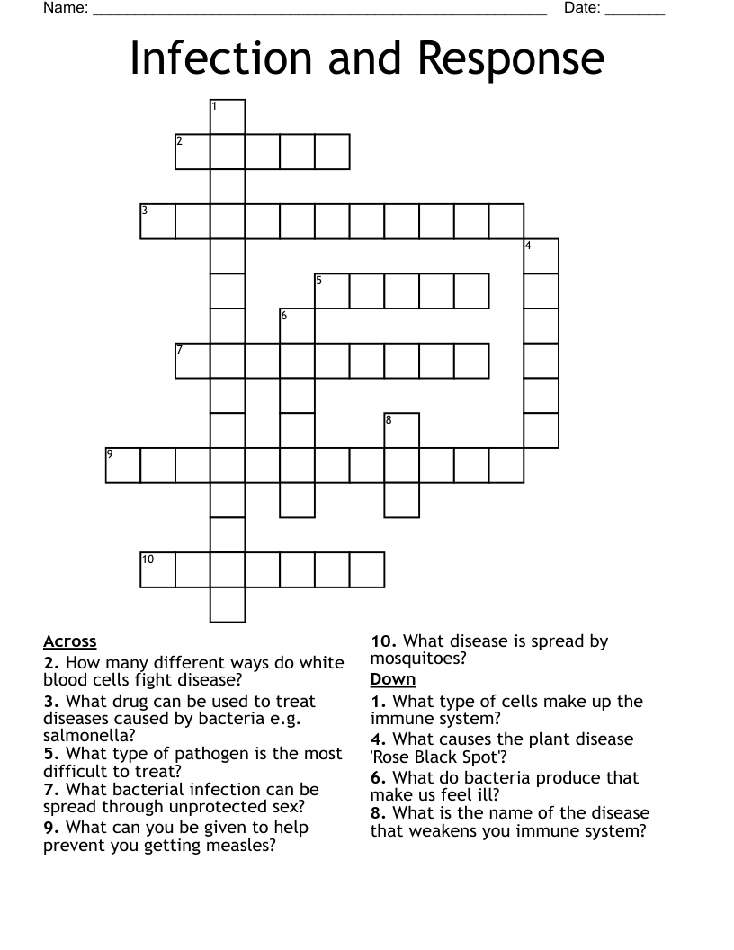 Infection and Response  Crossword
