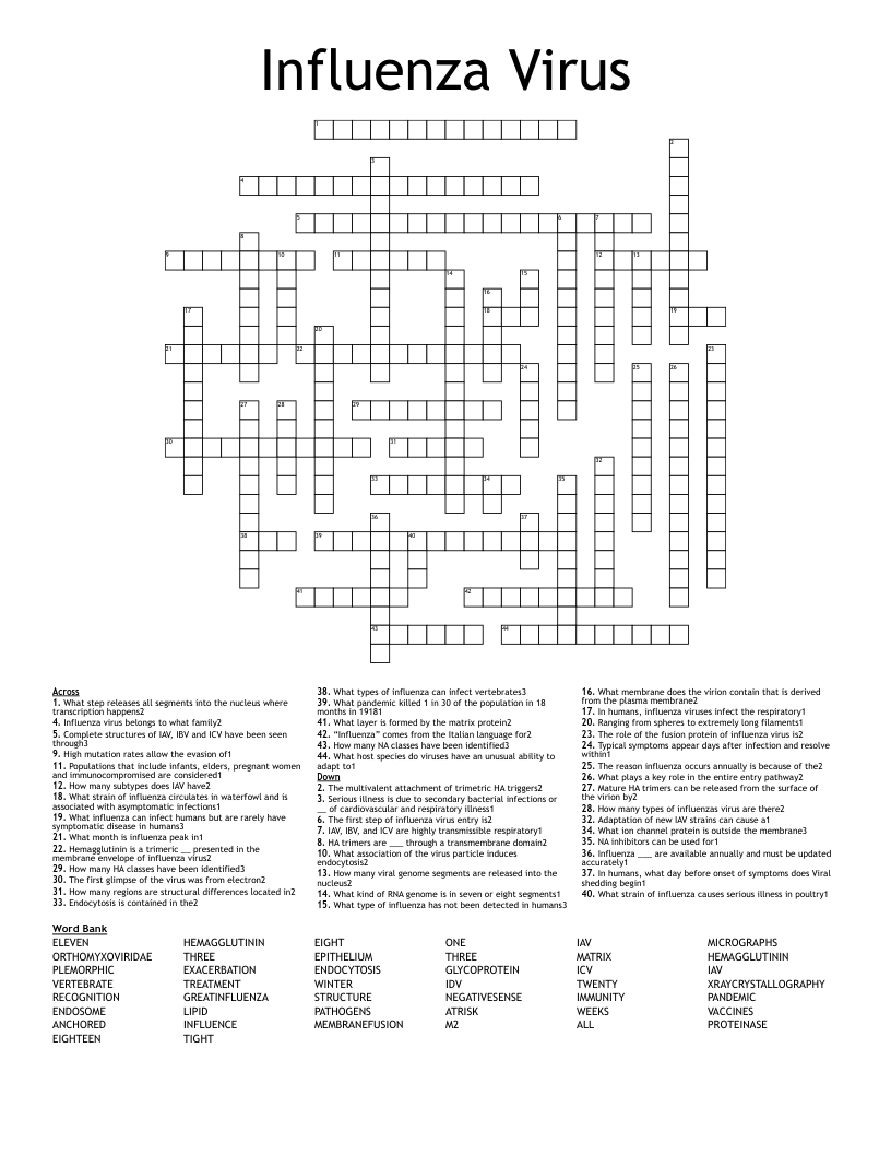 Influenza Virus  Crossword