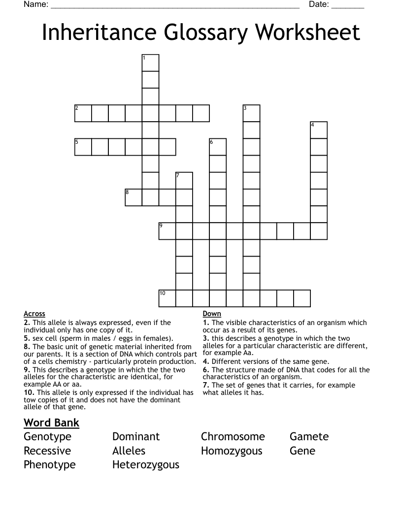 Inheritance Glossary Worksheet Crossword