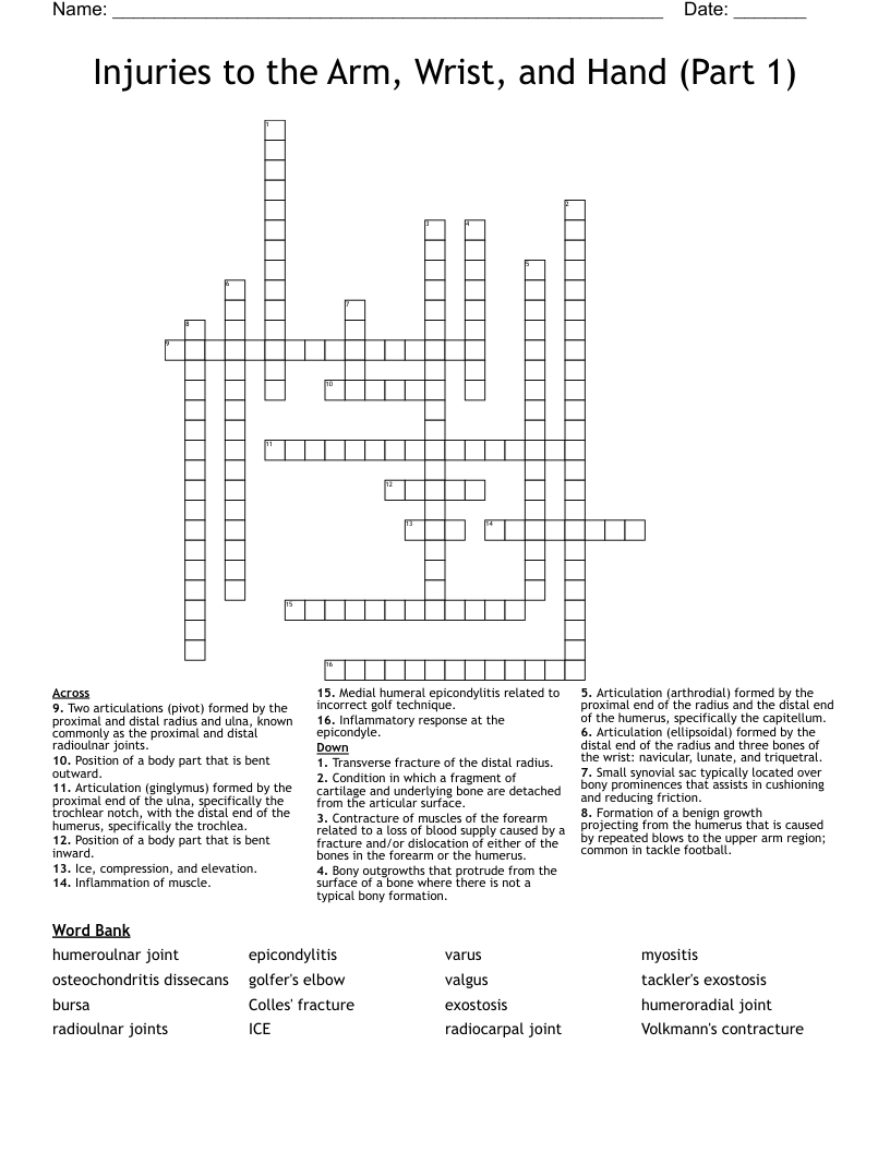 Injuries to the Arm, Wrist, and Hand (Part 1) Crossword