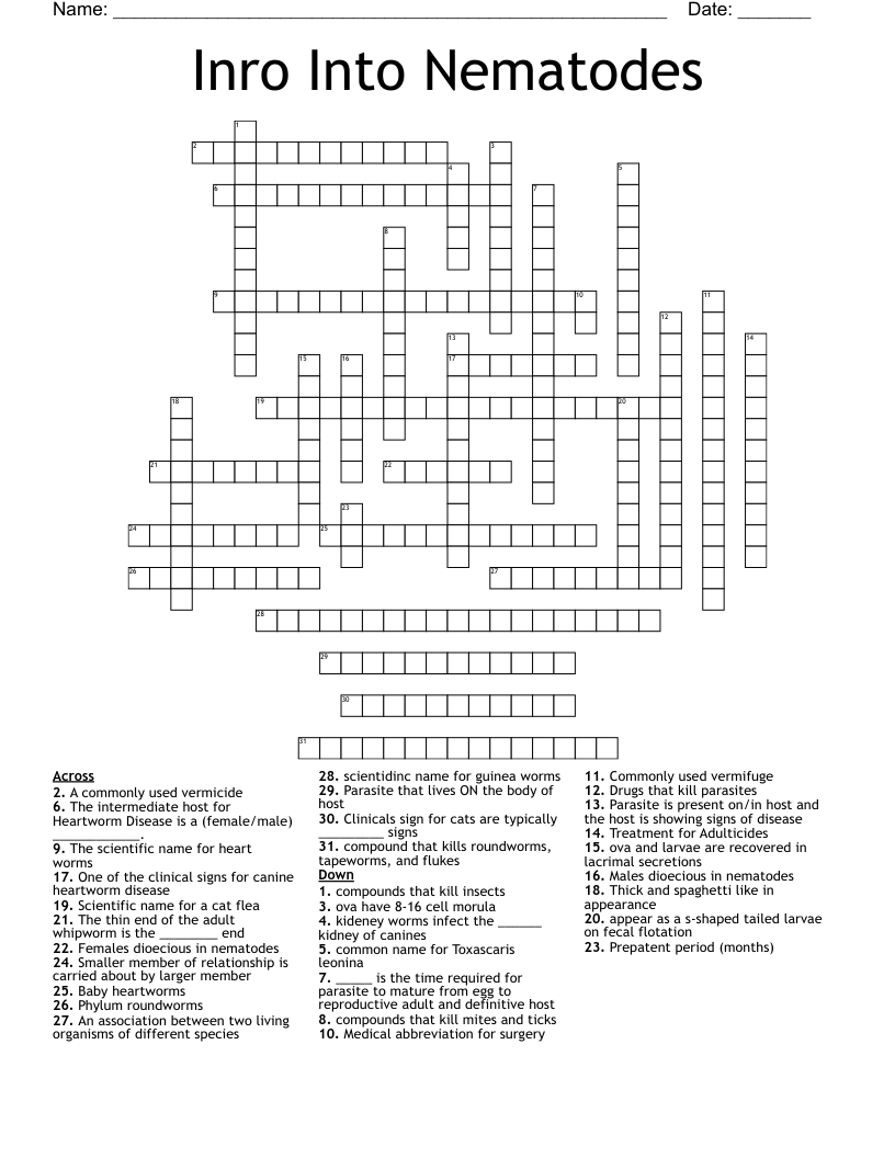 Inro Into Nematodes Crossword