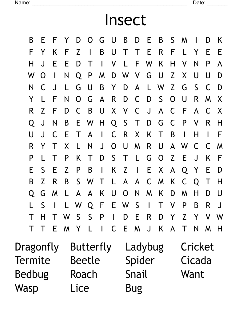 Insect Word Search