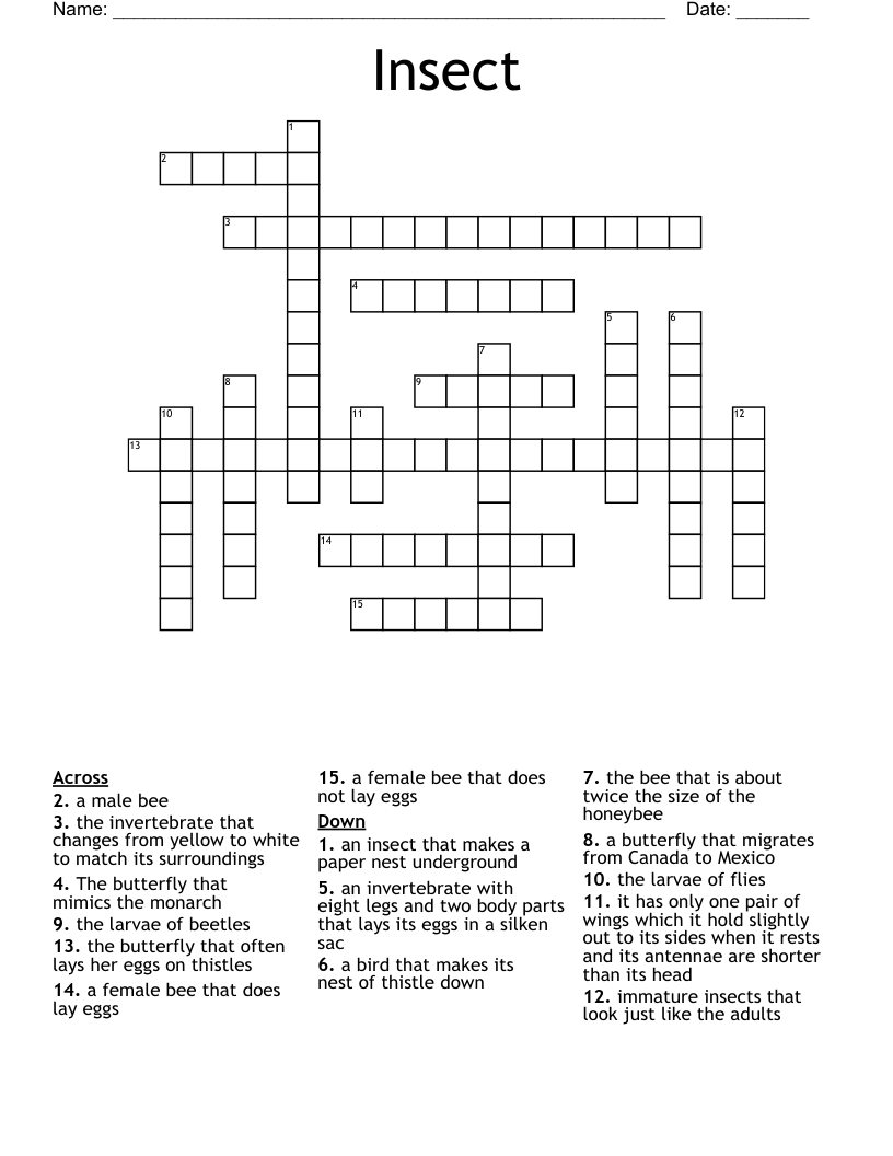 Insect Crossword