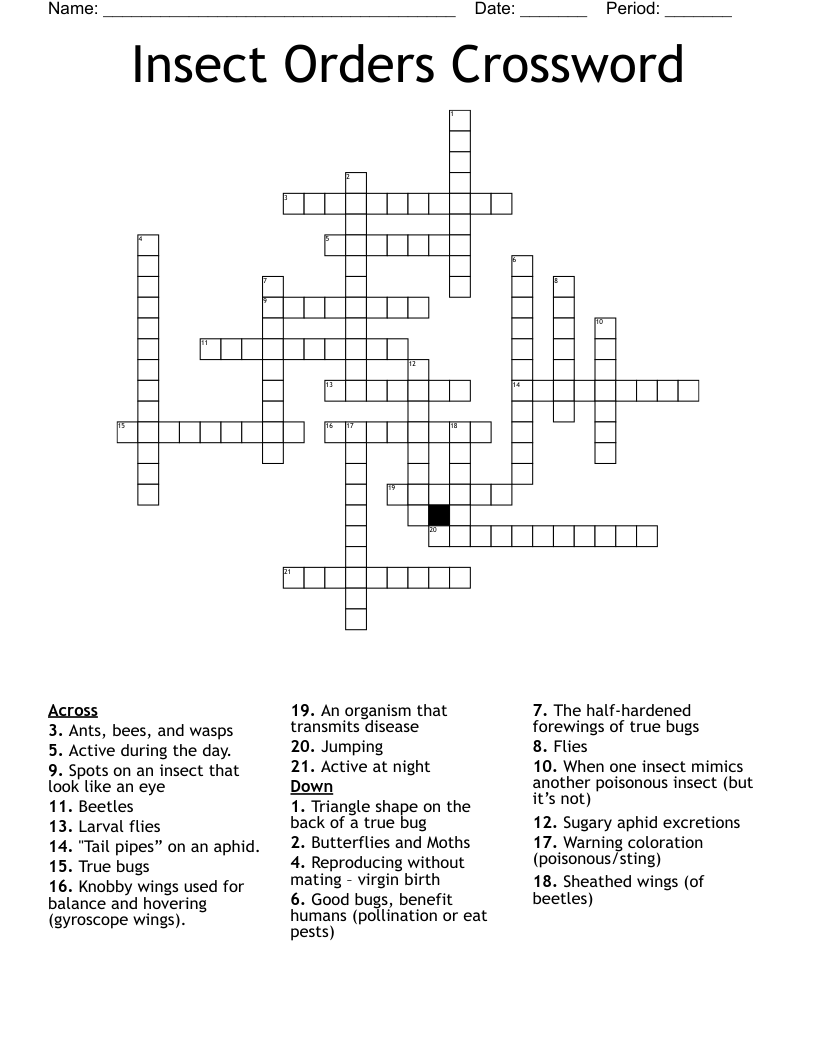 Insect Orders Crossword