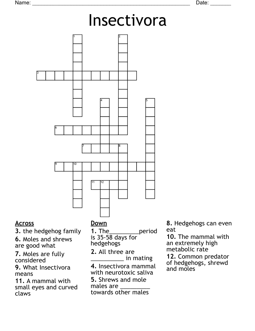 Insectivora Crossword