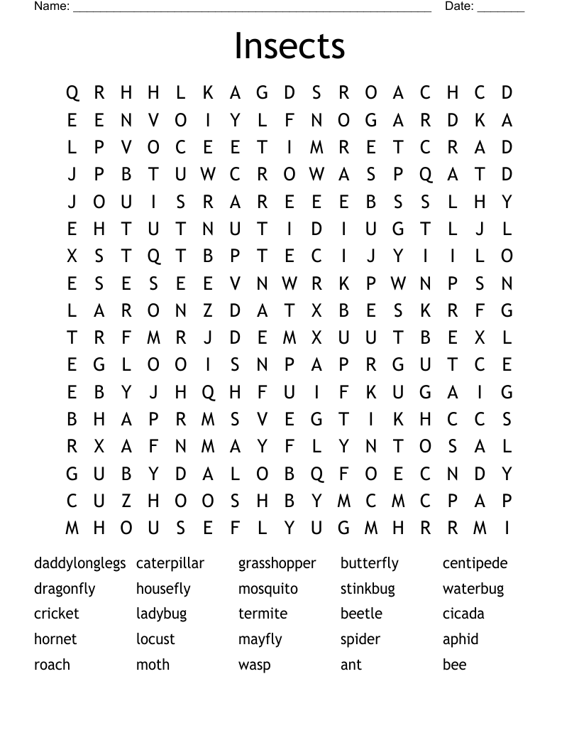 Insects Word Search