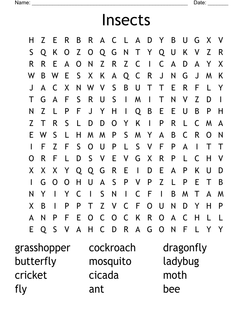 Insects Word Search