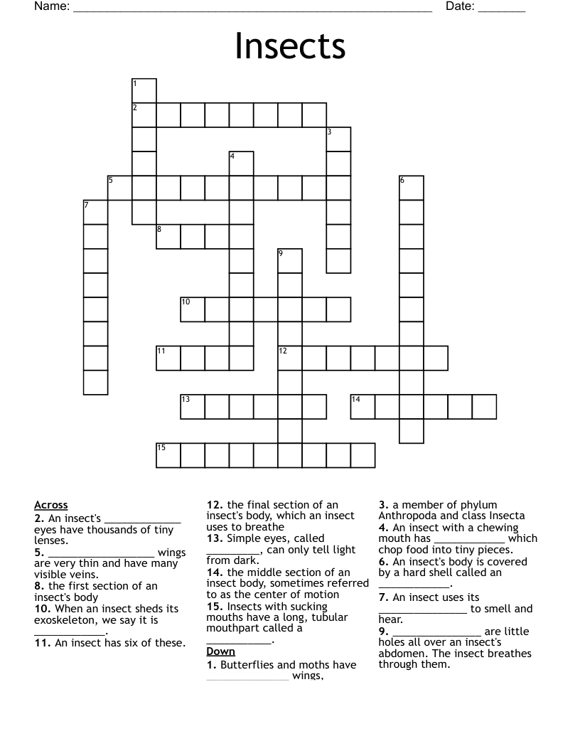 Insects Crossword