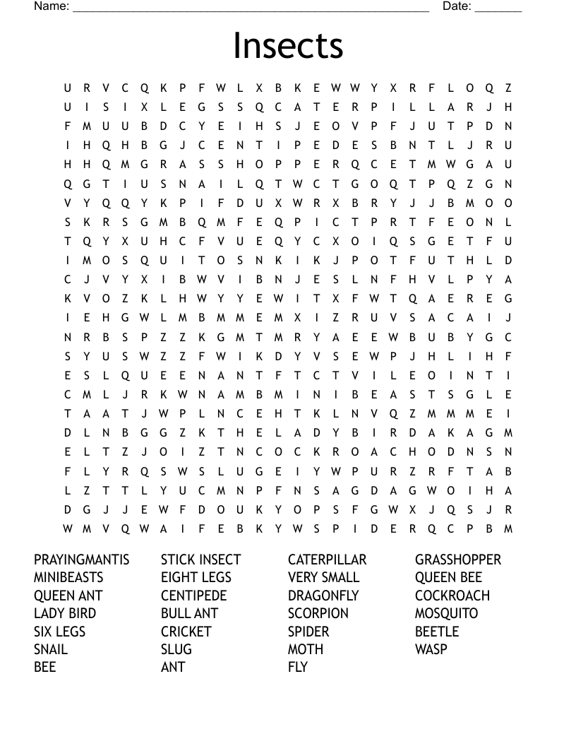 Insects Word Search