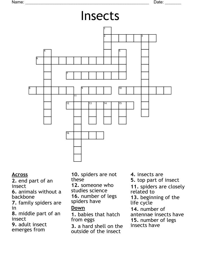 Insects Crossword