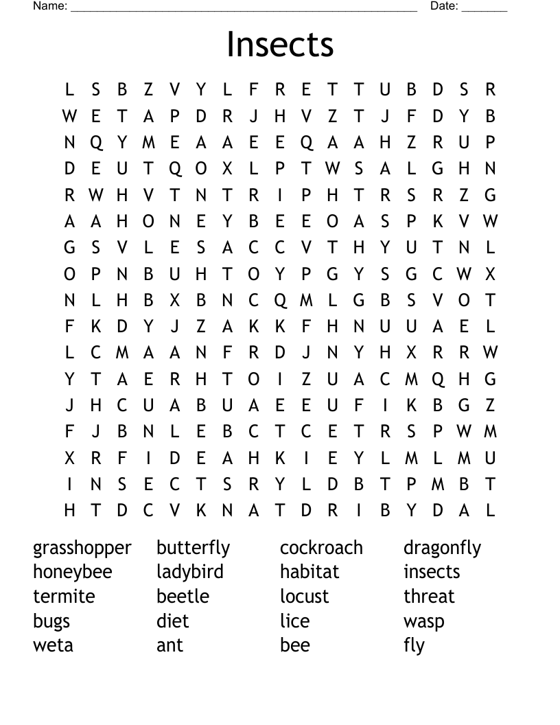 Insects Word Search