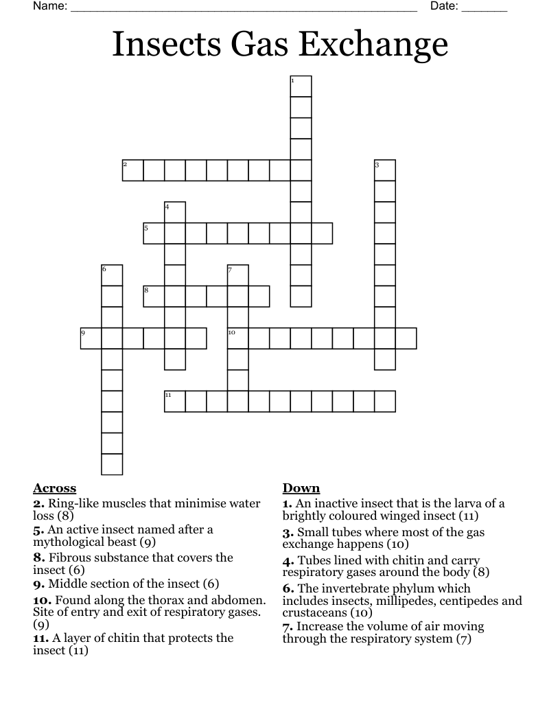 Insects Gas Exchange Crossword