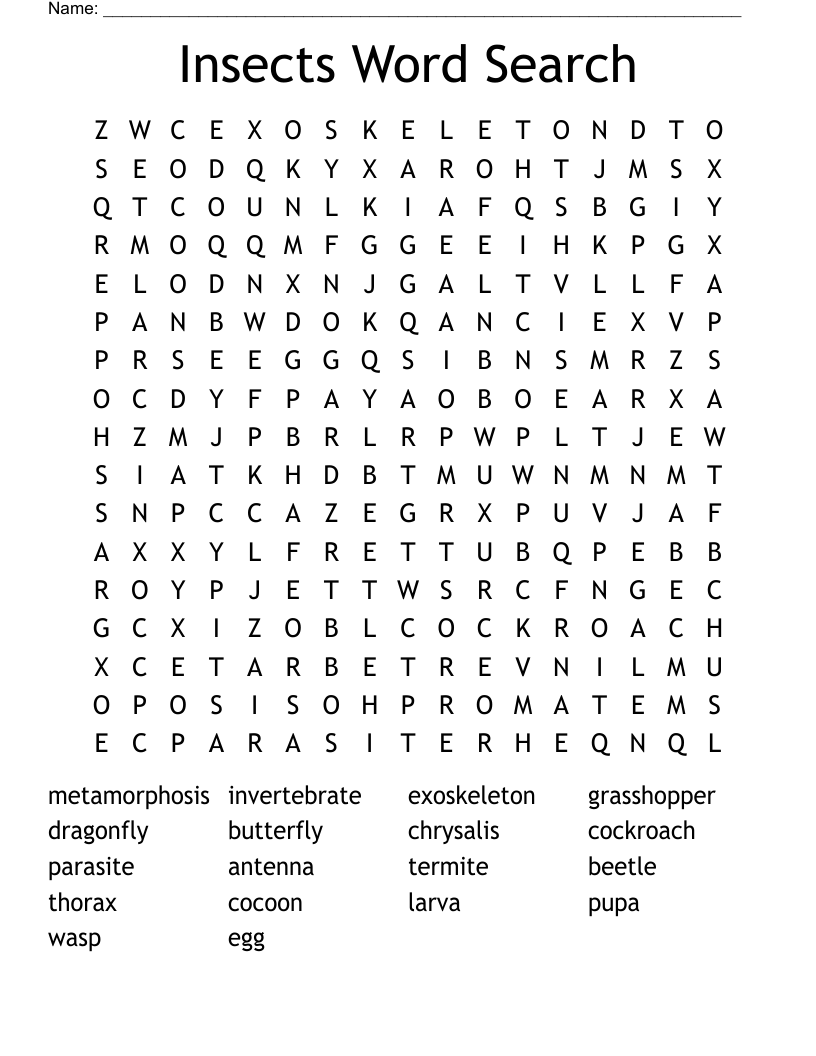 Insects Word Search
