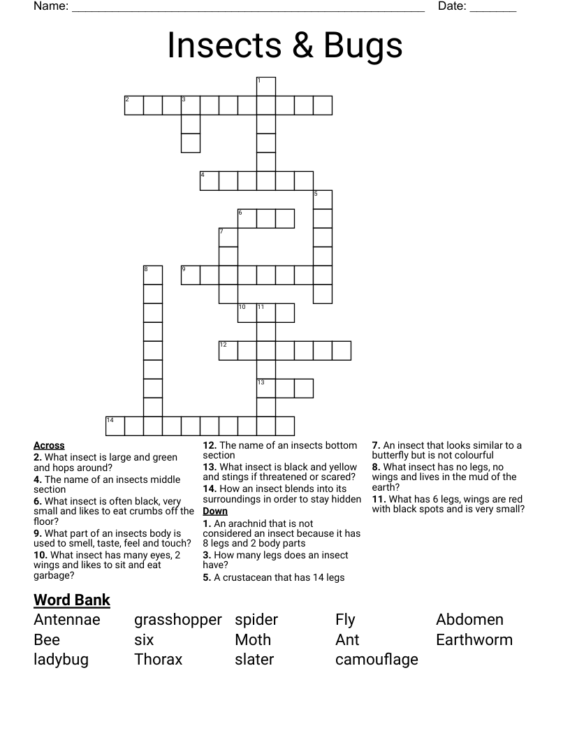 Insects & Bugs  Crossword
