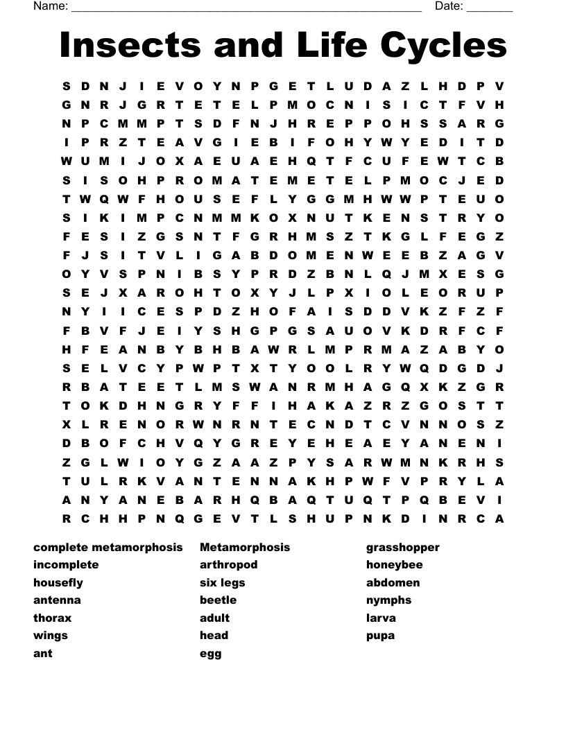 Insects and Life Cycles Word Search