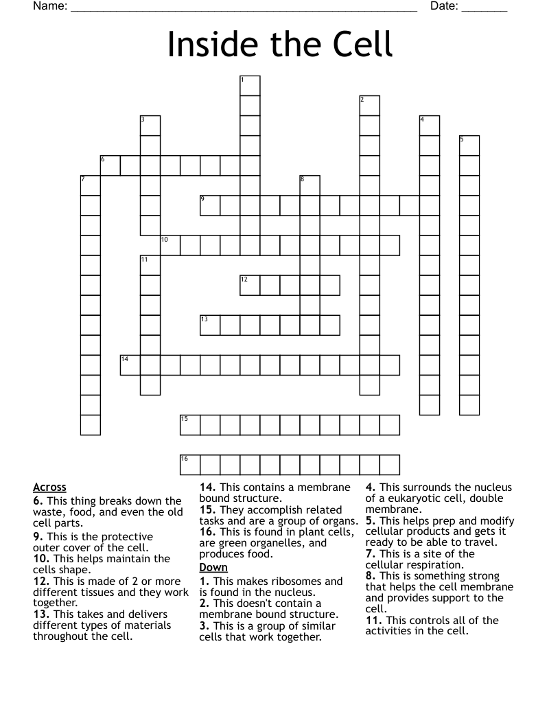 Inside the Cell Crossword