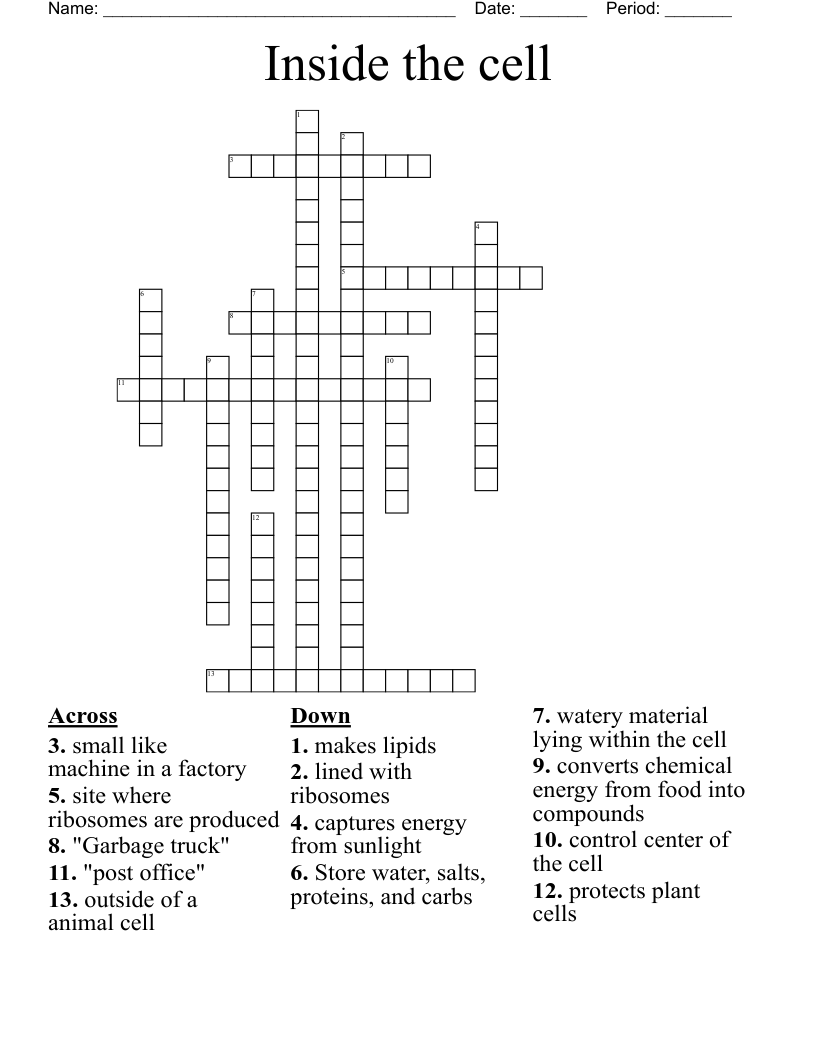 Inside the cell Crossword