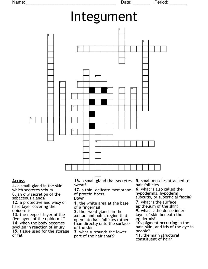 Integument Crossword