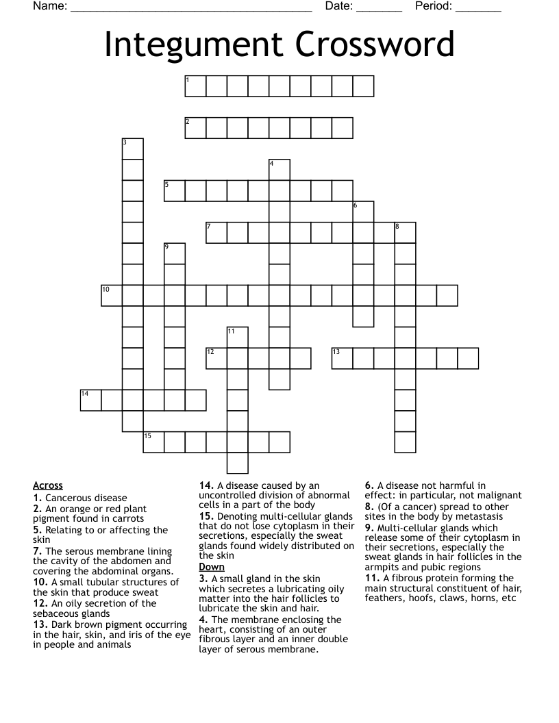 Integument Crossword