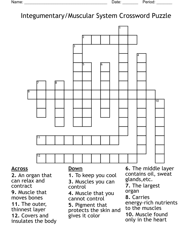 Integumentary/Muscular System Crossword Puzzle 