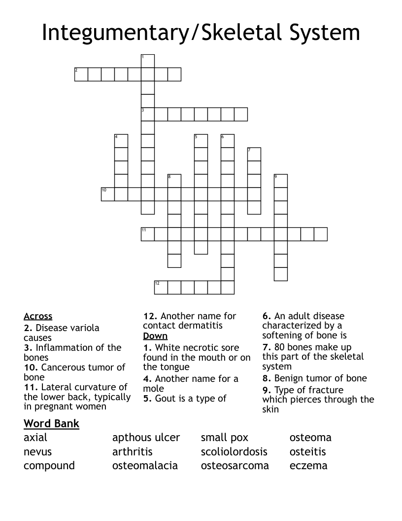 Integumentary/Skeletal System Crossword