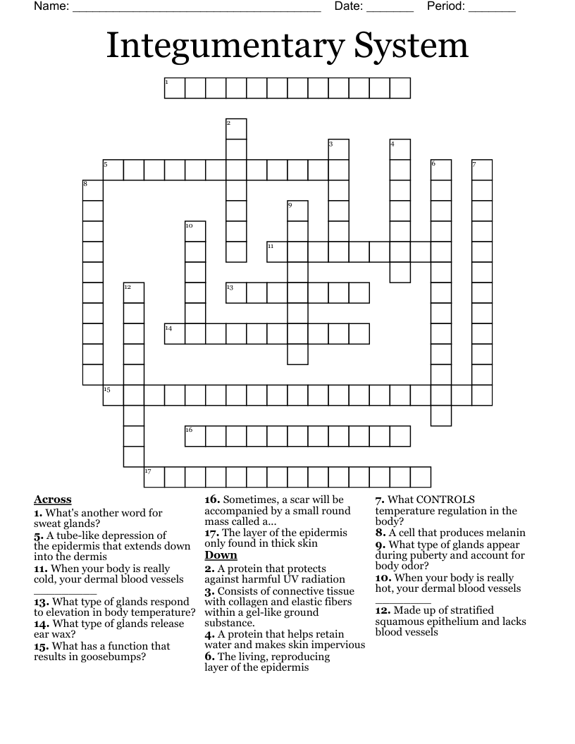 Integumentary System Crossword