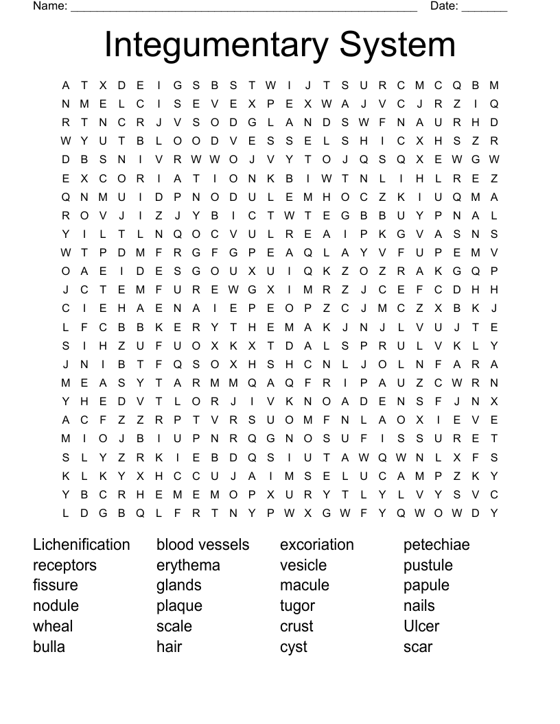 Integumentary System Word Search