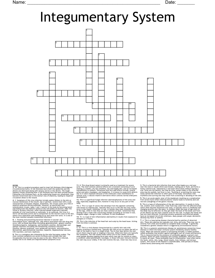 Integumentary System Crossword