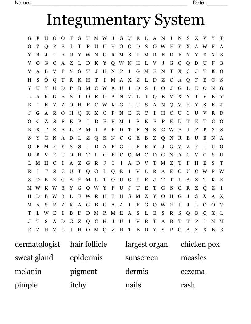 Integumentary System Word Search