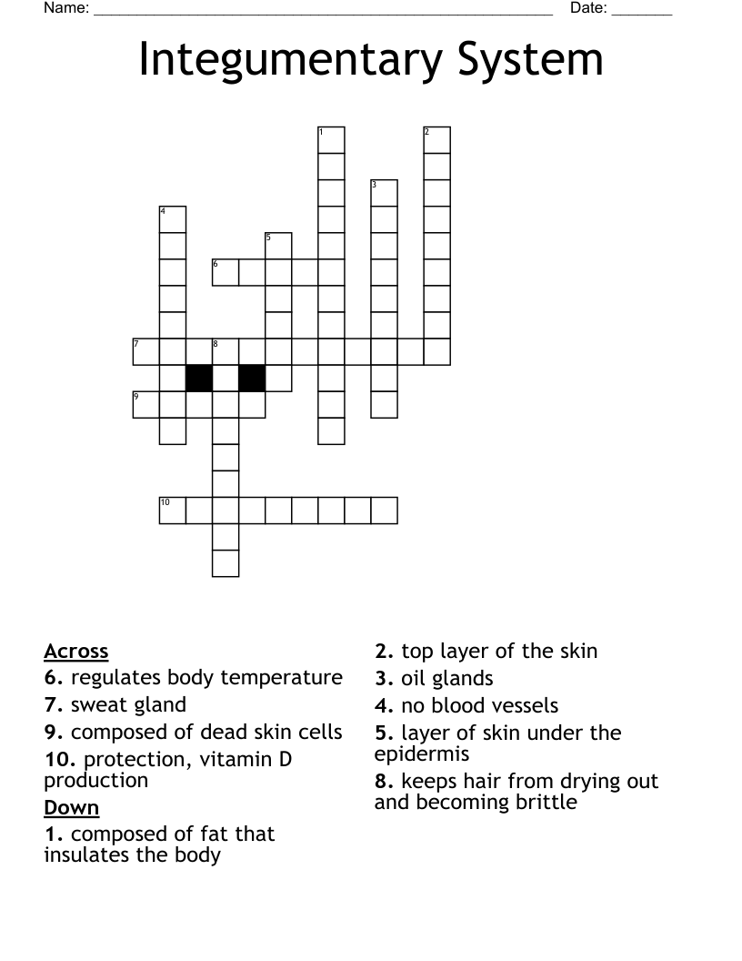 Integumentary System Crossword