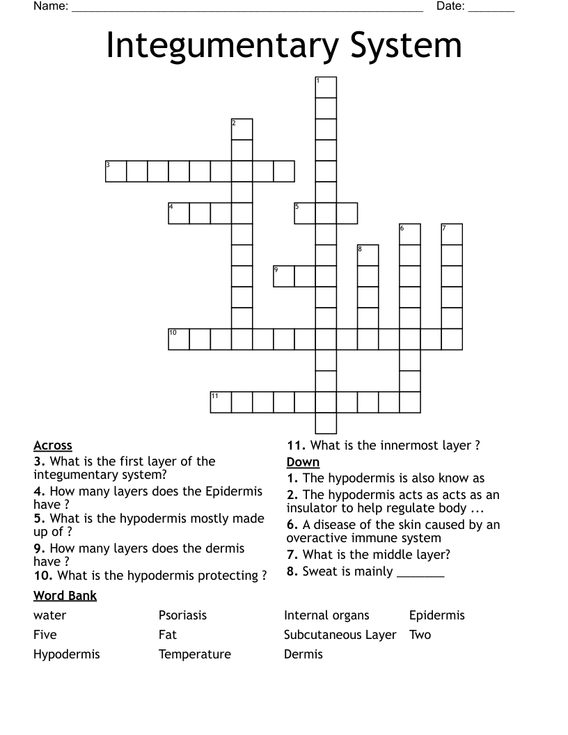 Integumentary System Crossword