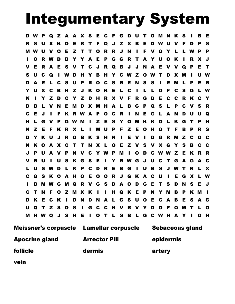 Integumentary System Word Search