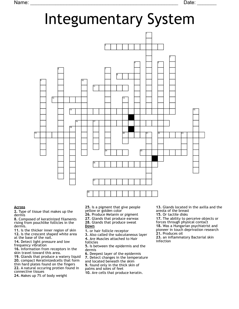 Integumentary System Crossword